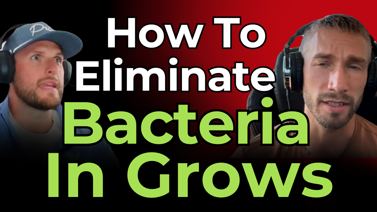 Bacteria Might Be Killing Your Yield - Fix It Fast