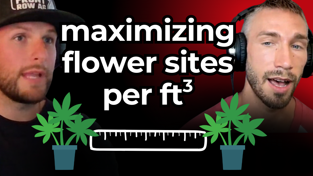 Double Yield Per Ft²? Here’s Their Canopy Trick