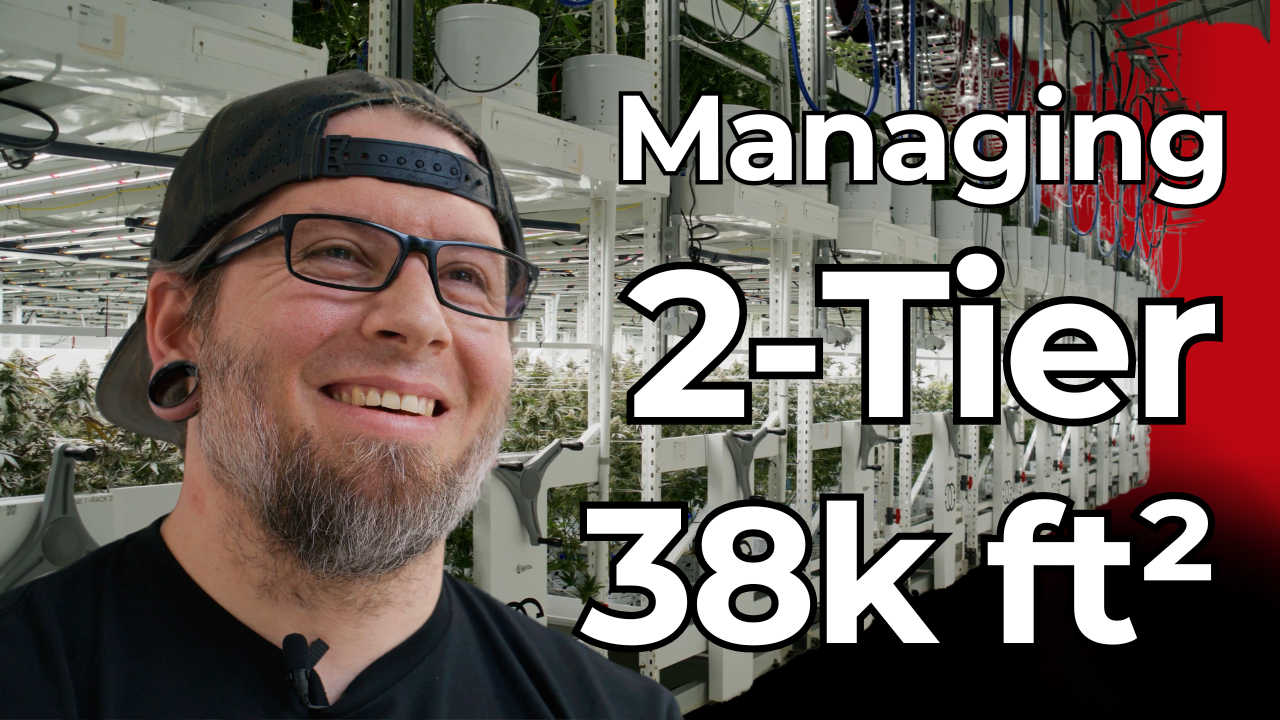 How This Grower Manages 38K Ft² Canopy with Precision