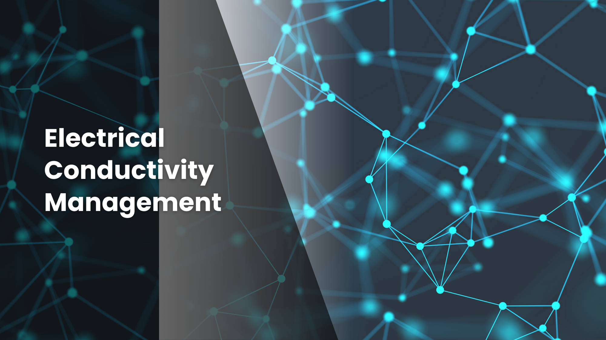 Article discussing EC management in commercial crop production.