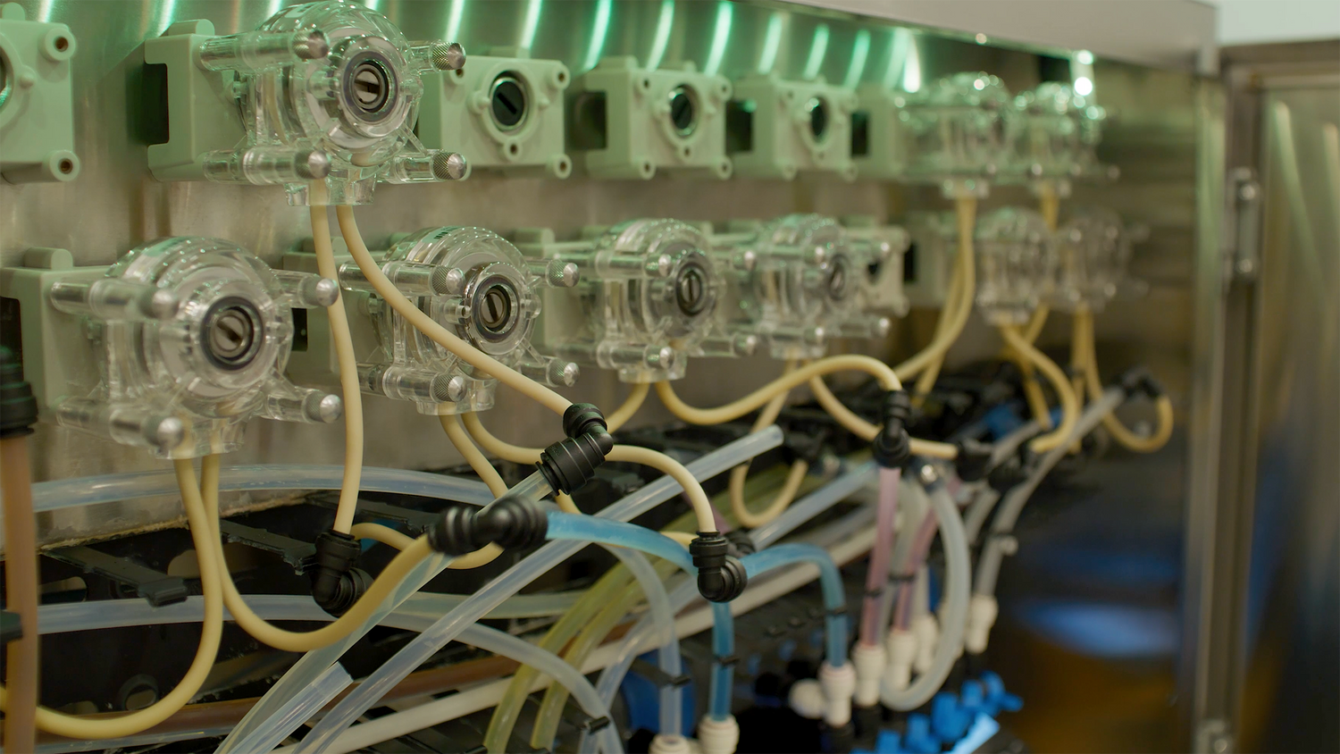 How Nutrient Timing Impacts Plant Yield and Quality