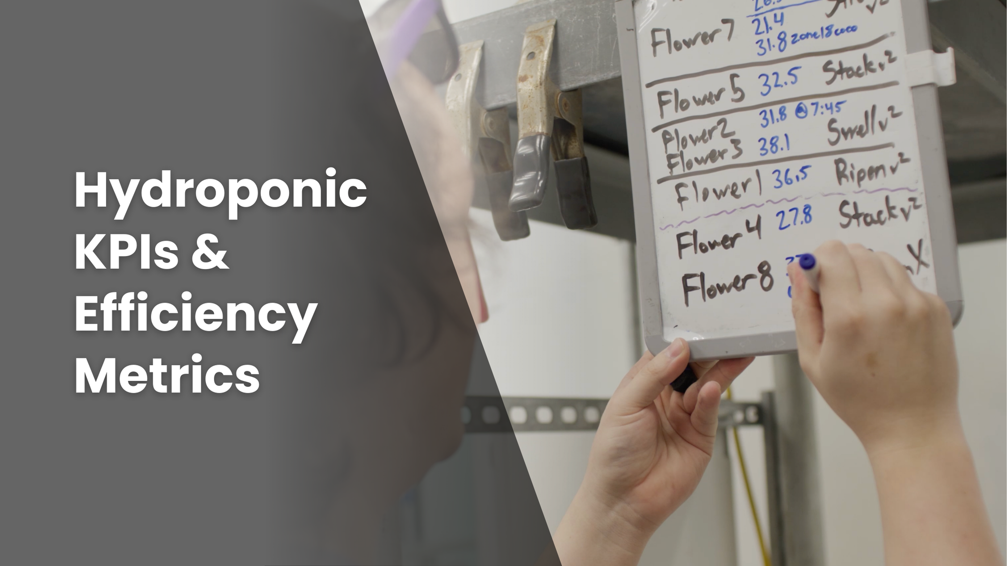 Featured image for a blog article, "How to Store Dry Soluble Fertilizers" with an image of a person writing on a whiteboard.