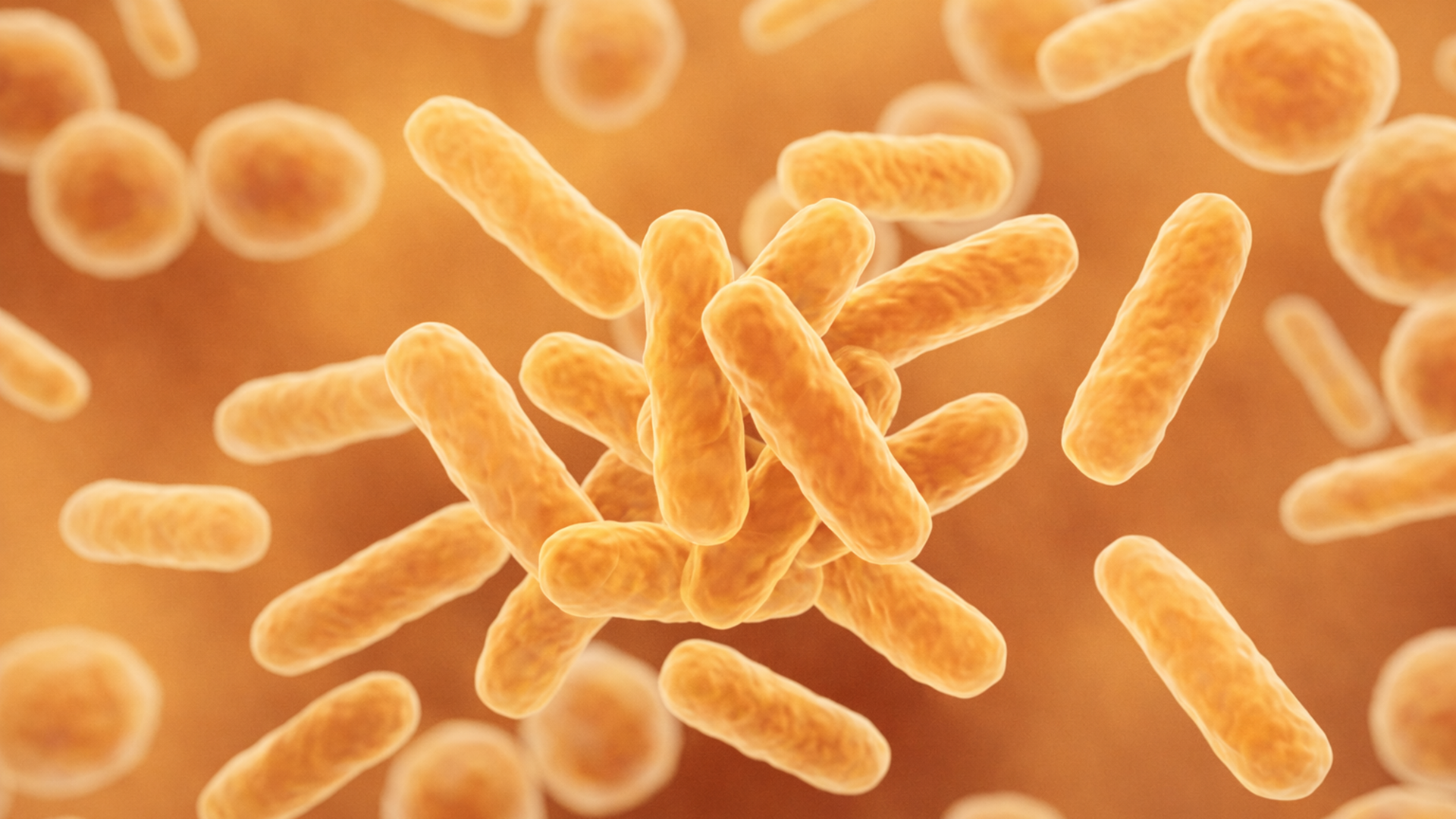 Beneficial microbes for advanced fertility strategies in commercial cultivation.