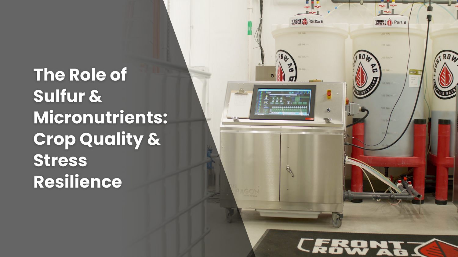 Article explaining the role of sulfur and micronutrients on crop quality and stress resiliance.